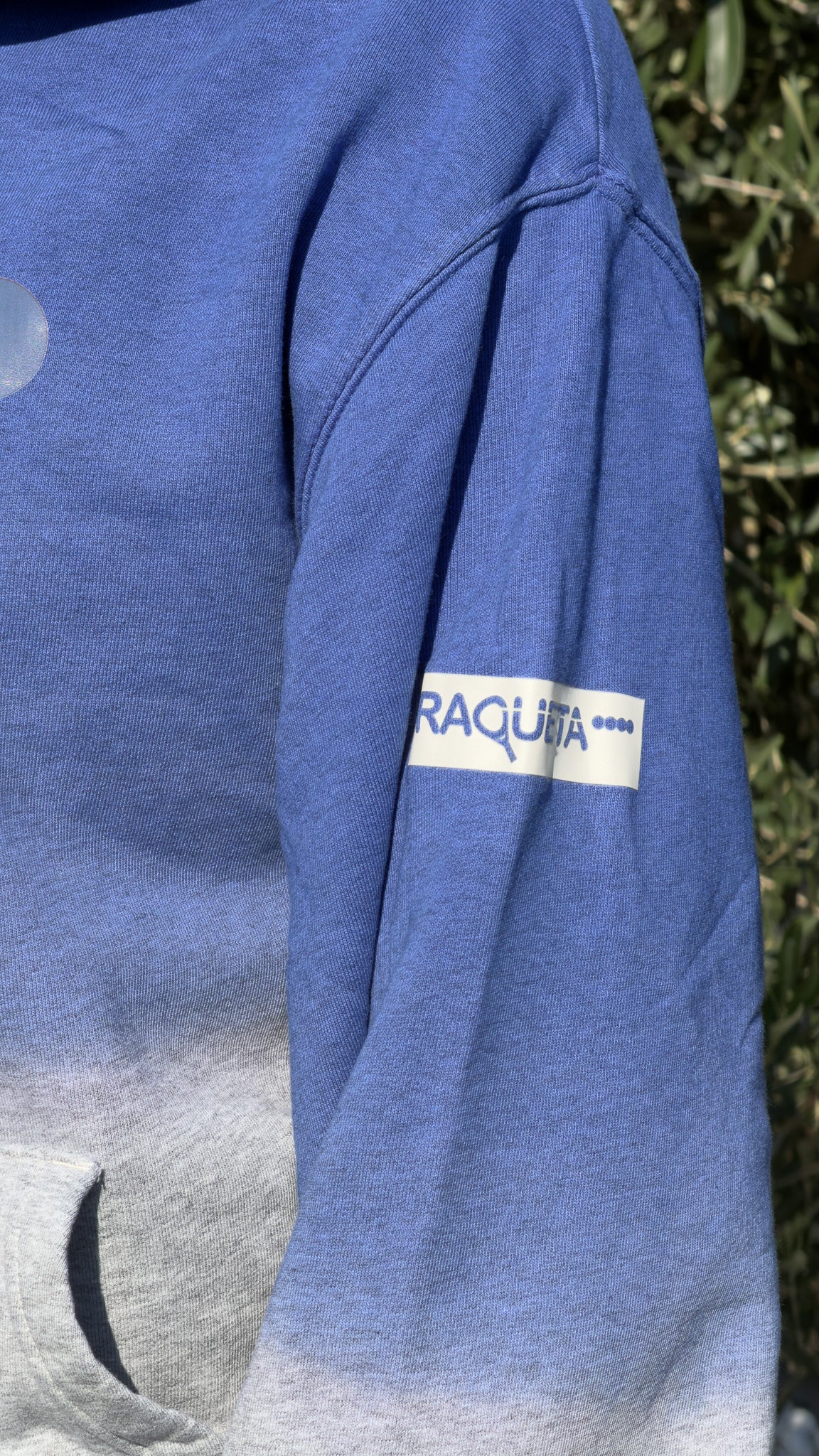 Hoodie ICE (Grey, Blue) - unisex